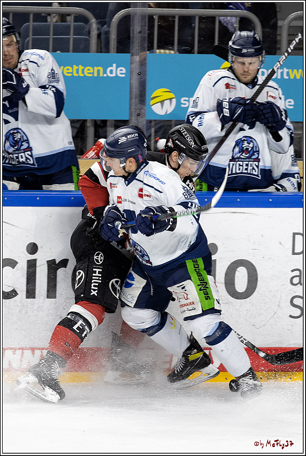 PENNY DEL;  Koelner Haie - Straubing Tigers; Koeln, 11.03.2022
